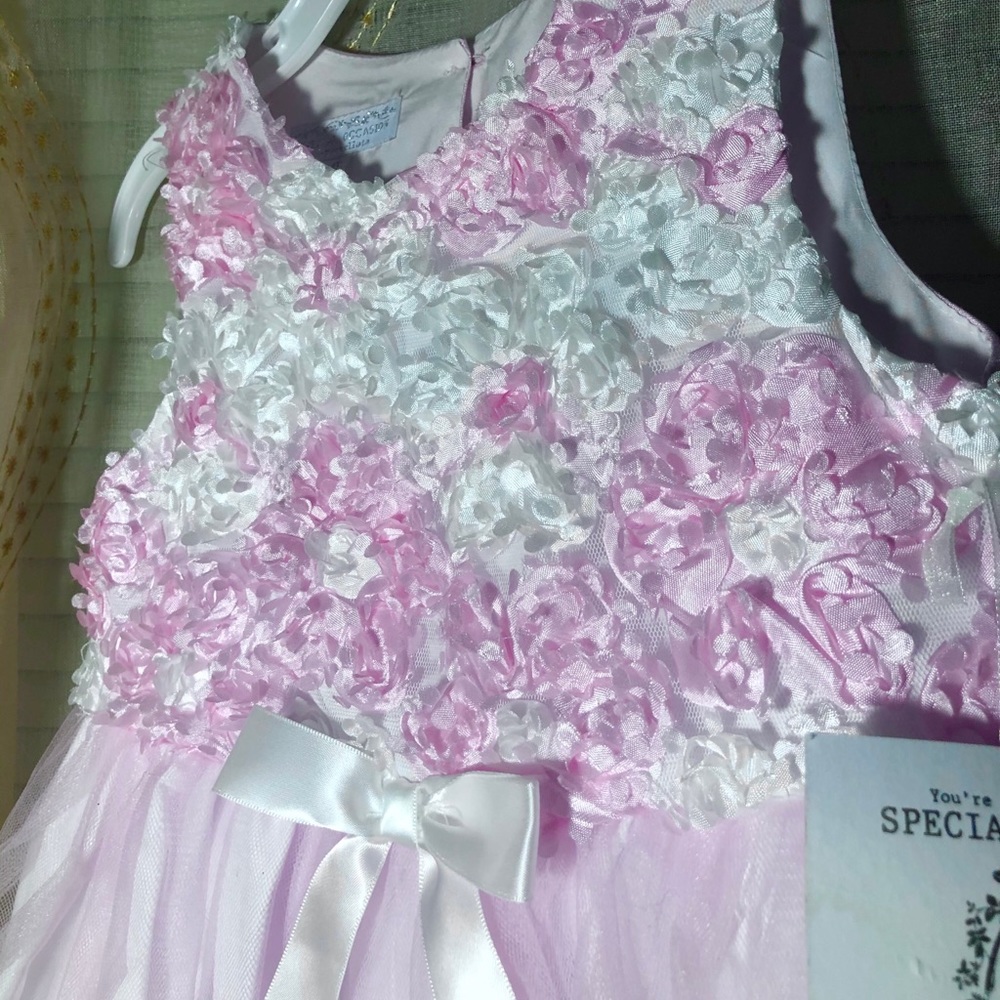Girl’s Paegant Formal Pale Pink Dress